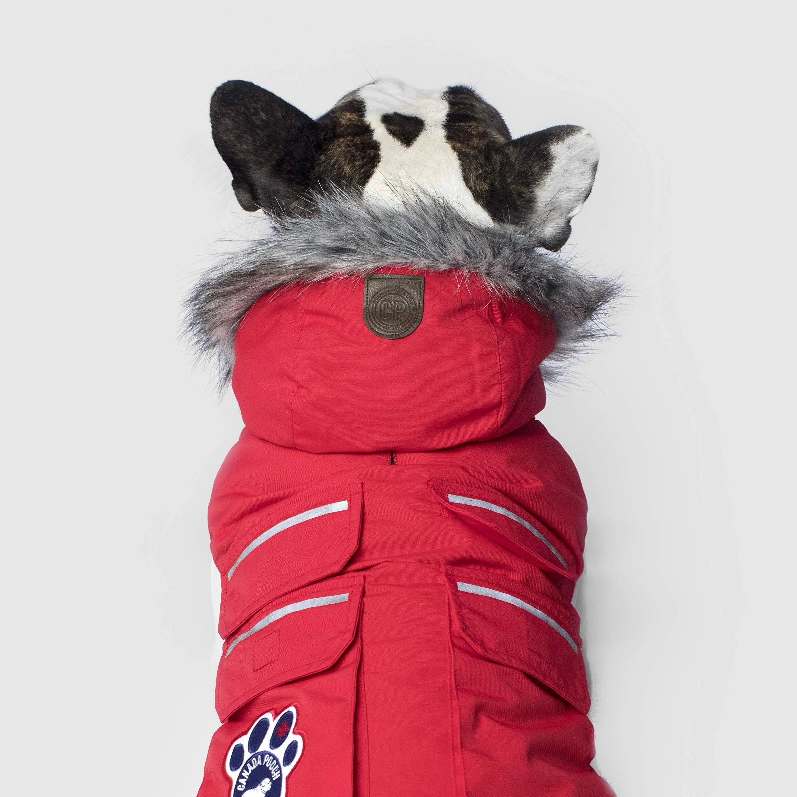 Canada Pooch Everest Explorer Size 22 Red Fleece Lined Insulated Dog Coat