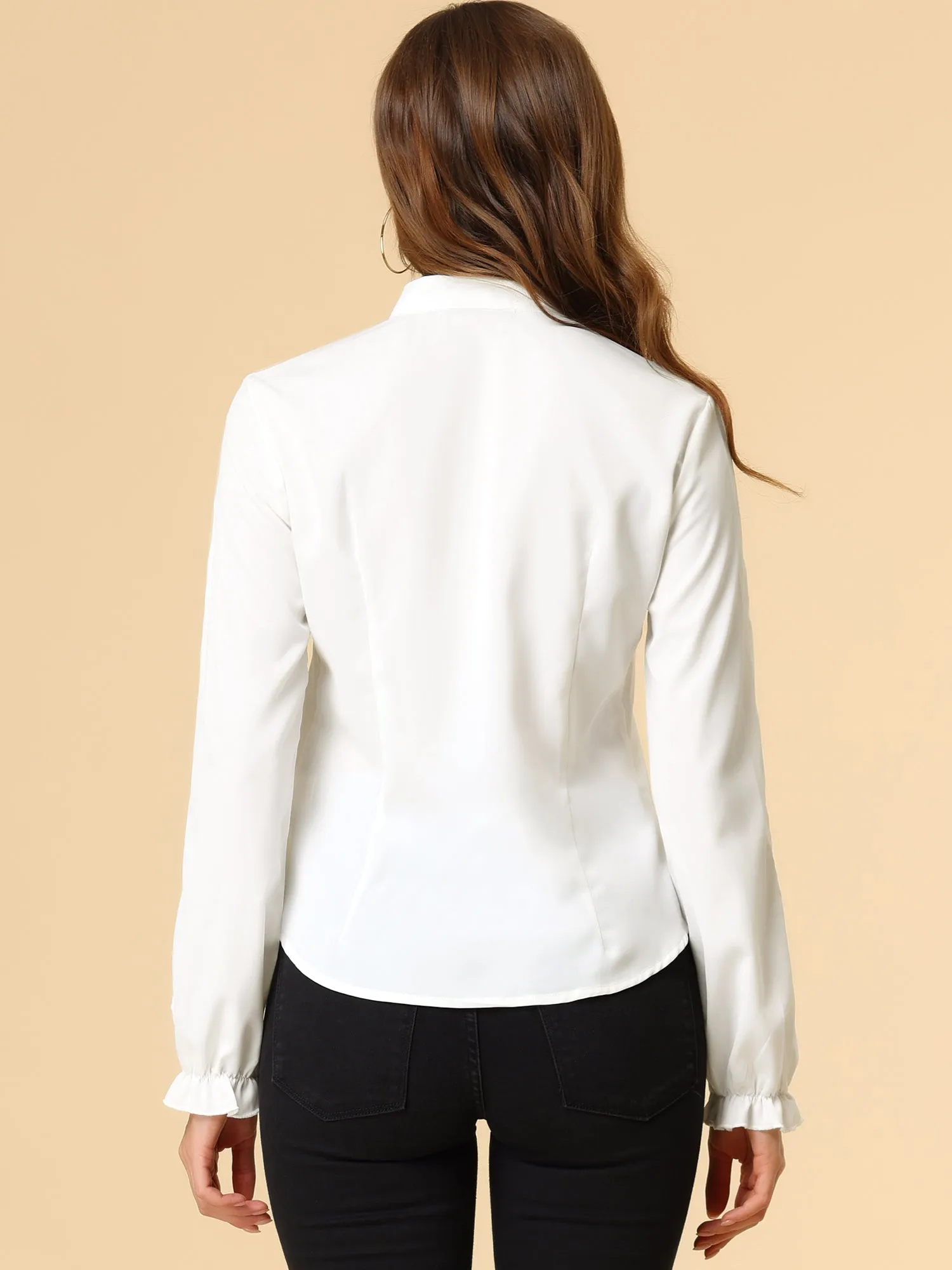 Work Blouse Elegant Bow Tie Neck Long Sleeve Shirt Top