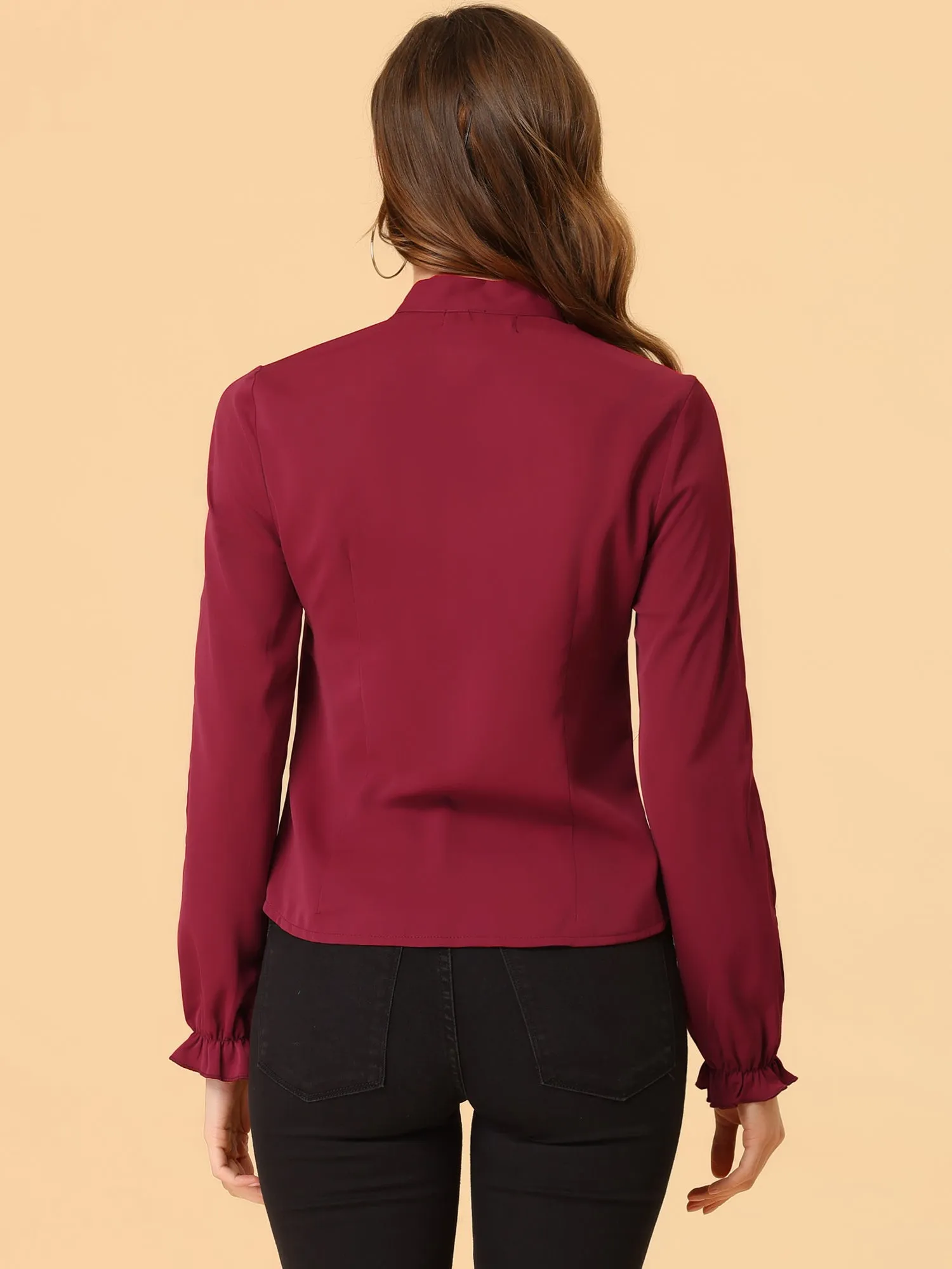 Work Blouse Elegant Bow Tie Neck Long Sleeve Shirt Top